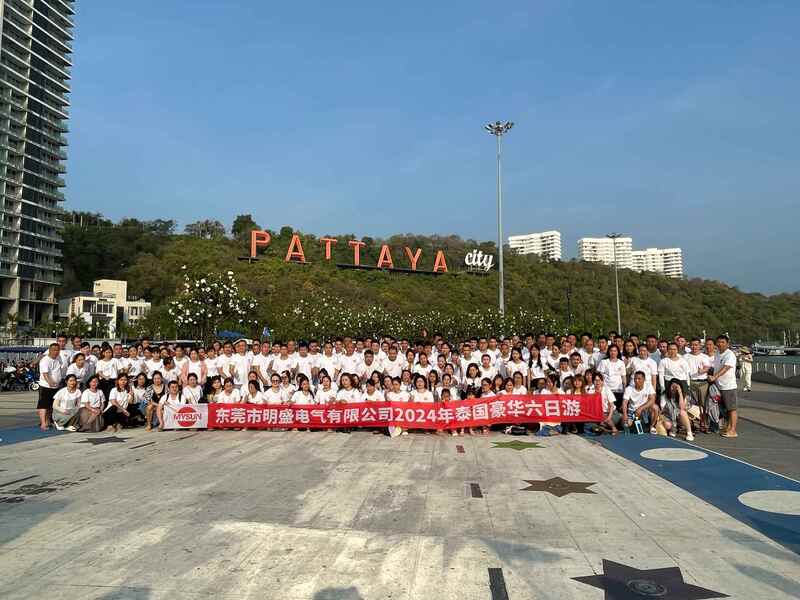 จีน Shenzhen Mysun Insulation Materials Co., Ltd. รายละเอียด บริษัท