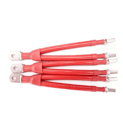 New Energy Battery Cable Wire Harness 10mm2 to 95mm2 with Tinned Copper Conductor and Silicone XLPE Insulation for Energy Storage Systems